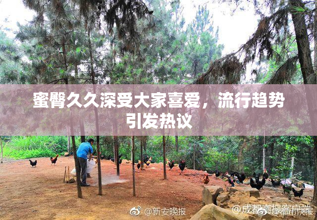 蜜臀久久深受大家喜爱，流行趋势引发热议