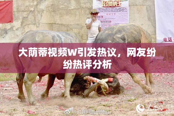 大荫蒂视频W引发热议，网友纷纷热评分析