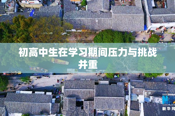 初高中生在学习期间压力与挑战并重
