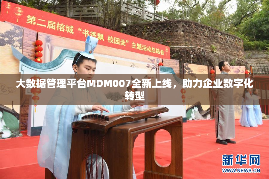 大数据管理平台MDM007全新上线，助力企业数字化转型