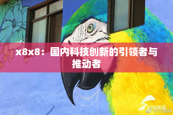 x8x8：国内科技创新的引领者与推动者