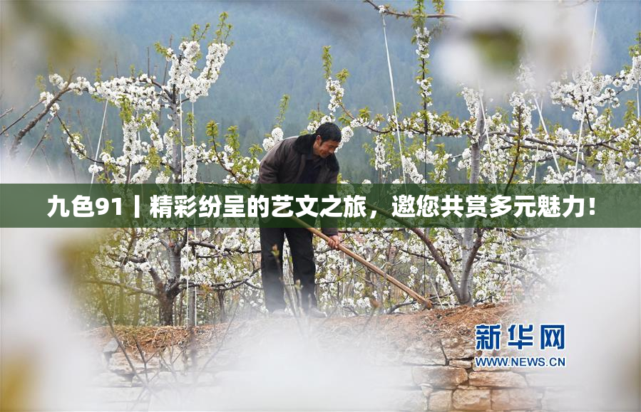 九色91丨精彩纷呈的艺文之旅，邀您共赏多元魅力！