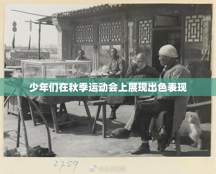 少年们在秋季运动会上展现出色表现