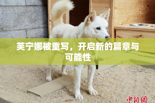 芙宁娜被重写，开启新的篇章与可能性