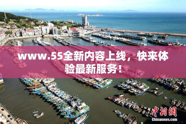 www.55全新内容上线，快来体验最新服务！