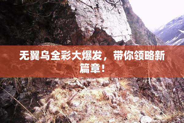 无翼乌全彩大爆发，带你领略新篇章！