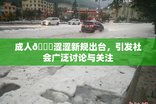 成人🔞涩涩新规出台，引发社会广泛讨论与关注