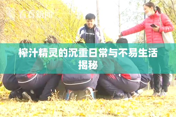 榨汁精灵的沉重日常与不易生活揭秘