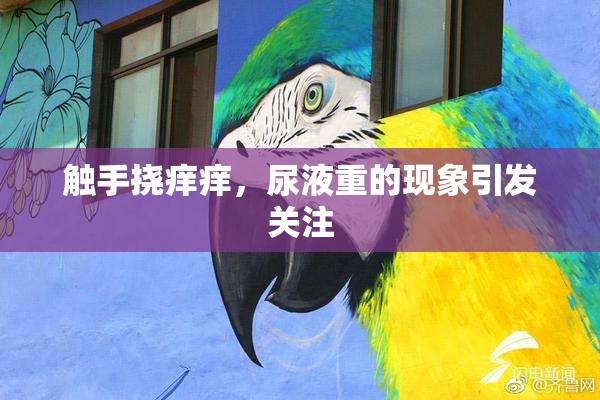 触手挠痒痒，尿液重的现象引发关注