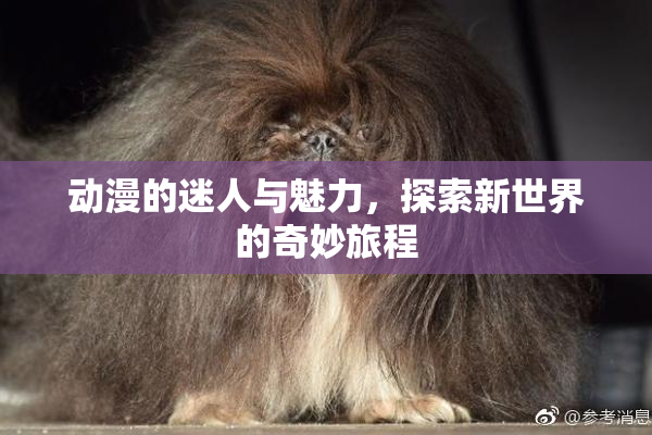 动漫的迷人与魅力，探索新世界的奇妙旅程
