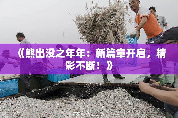 《熊出没之年年：新篇章开启，精彩不断！》