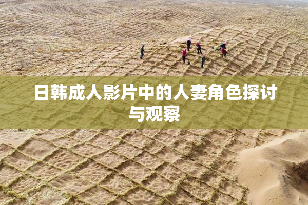 日韩成人影片中的人妻角色探讨与观察