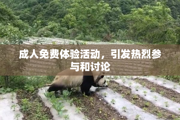 成人免费体验活动，引发热烈参与和讨论
