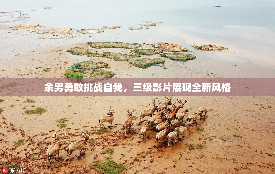 余男勇敢挑战自我，三级影片展现全新风格