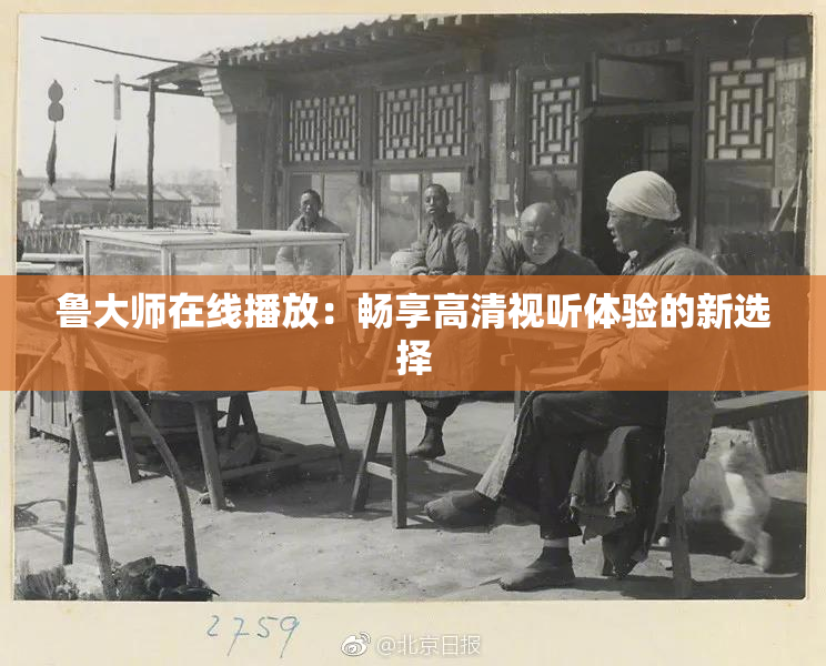 鲁大师在线播放：畅享高清视听体验的新选择