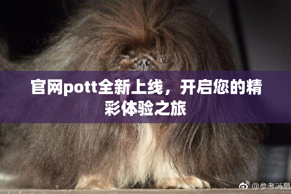 官网pott全新上线，开启您的精彩体验之旅