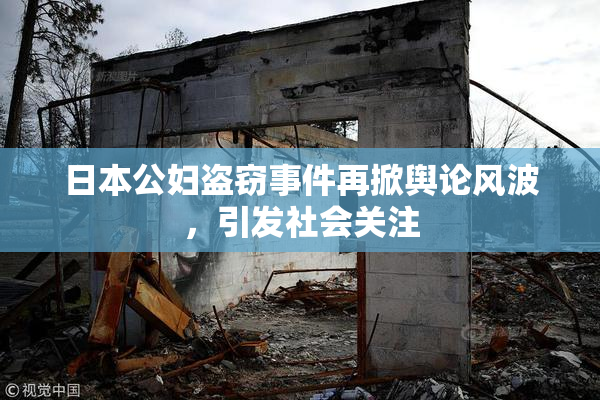 日本公妇盗窃事件再掀舆论风波，引发社会关注