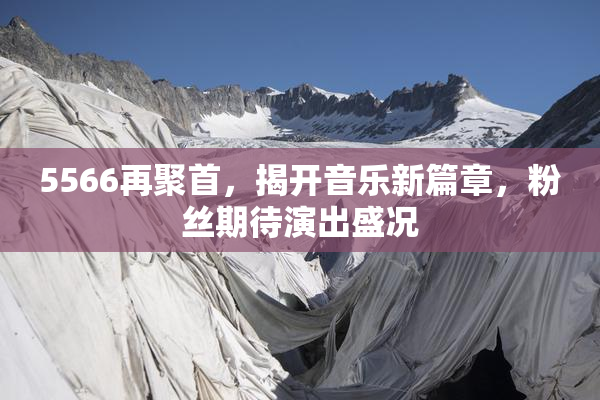 5566再聚首，揭开音乐新篇章，粉丝期待演出盛况