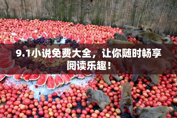 9.1小说免费大全，让你随时畅享阅读乐趣！