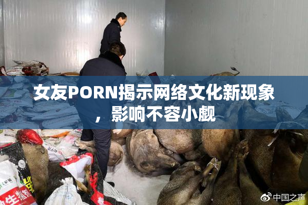 女友PORN揭示网络文化新现象，影响不容小觑