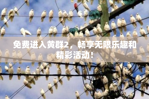 免费进入黄群2，畅享无限乐趣和精彩活动！