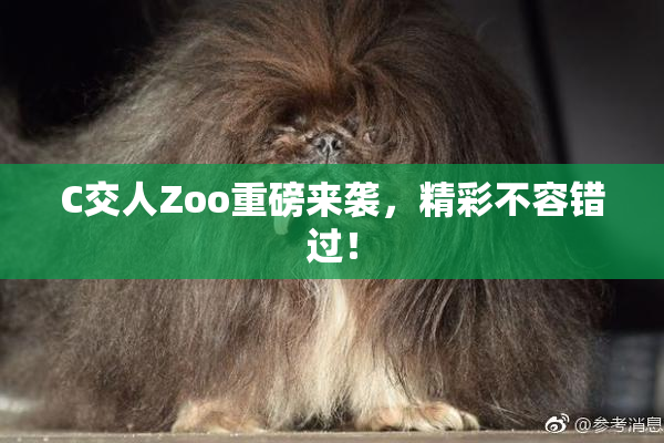 C交人Zoo重磅来袭，精彩不容错过！