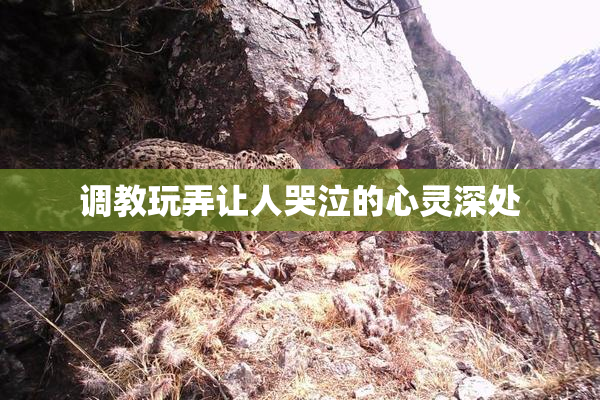 调教玩弄让人哭泣的心灵深处