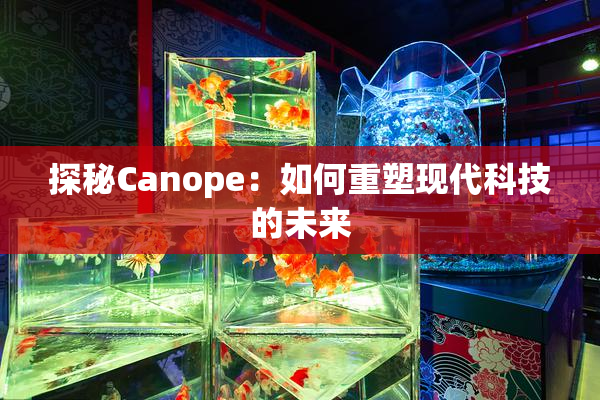 探秘Canope：如何重塑现代科技的未来