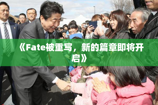 《Fate被重写，新的篇章即将开启》