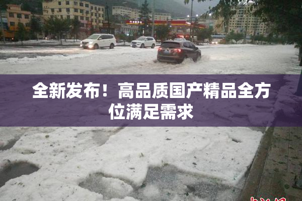 全新发布！高品质国产精品全方位满足需求