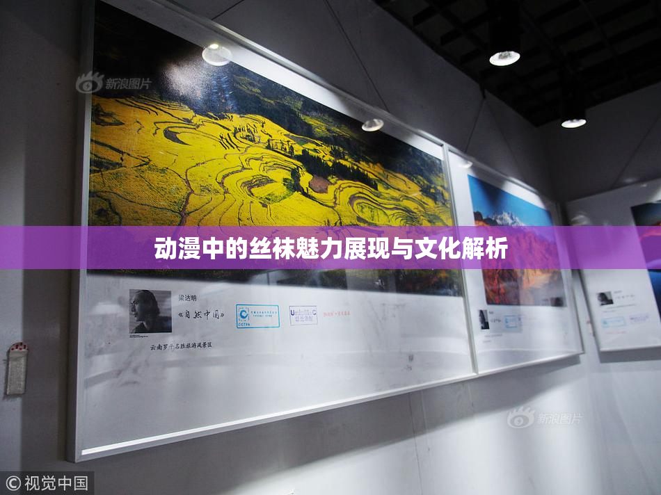 动漫中的丝袜魅力展现与文化解析