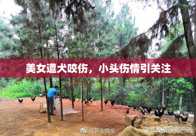 美女遭犬咬伤，小头伤情引关注
