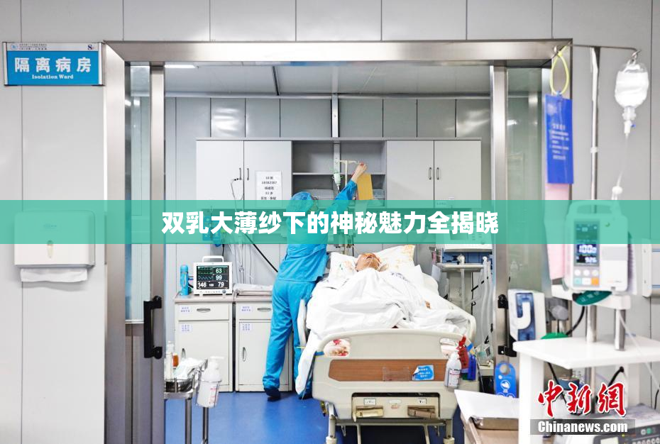 双乳大薄纱下的神秘魅力全揭晓