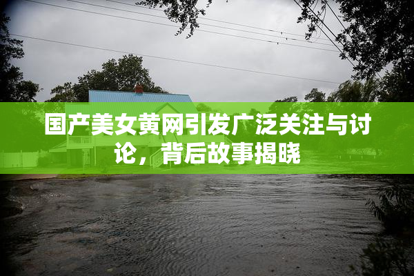 国产美女黄网引发广泛关注与讨论，背后故事揭晓