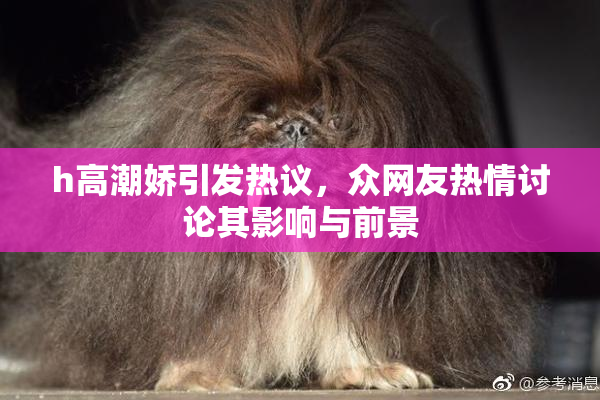 h高潮娇引发热议，众网友热情讨论其影响与前景