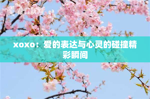 xoxo：爱的表达与心灵的碰撞精彩瞬间