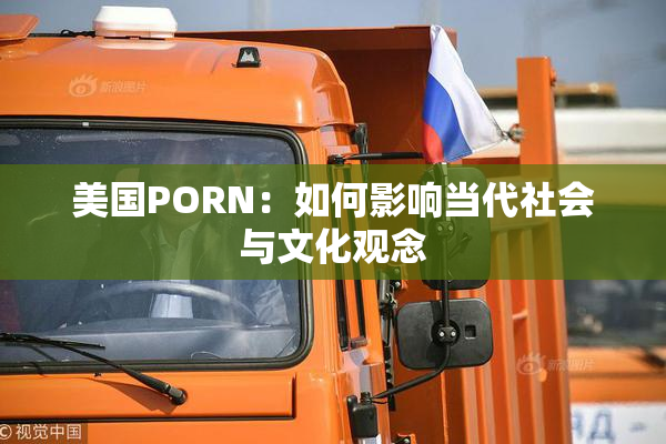美国PORN：如何影响当代社会与文化观念