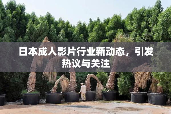 日本成人影片行业新动态，引发热议与关注