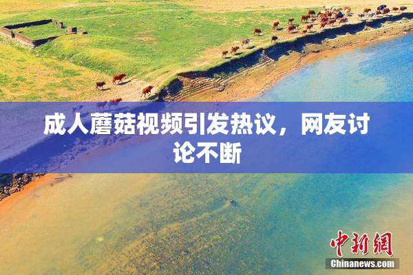 成人蘑菇视频引发热议，网友讨论不断