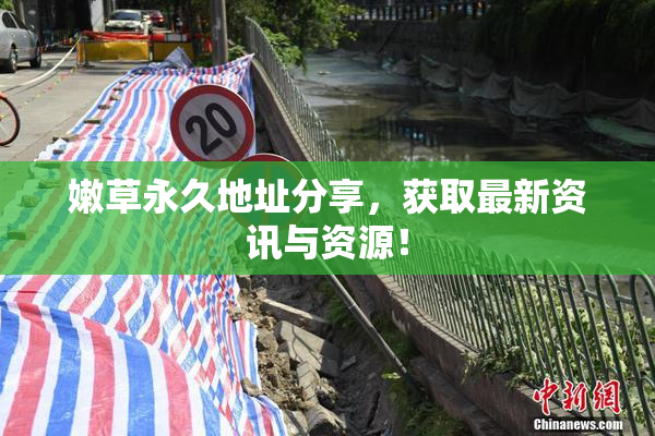 嫩草永久地址分享，获取最新资讯与资源！