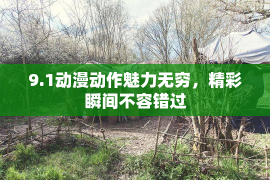 9.1动漫动作魅力无穷，精彩瞬间不容错过
