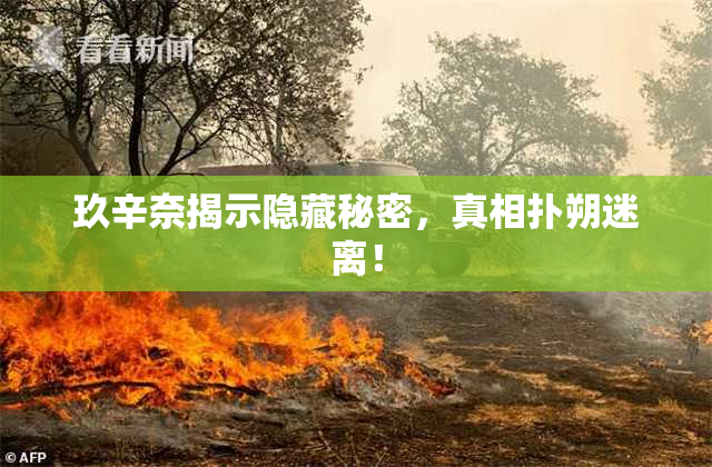 玖辛奈揭示隐藏秘密，真相扑朔迷离！