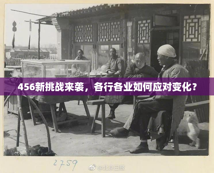 456新挑战来袭，各行各业如何应对变化？