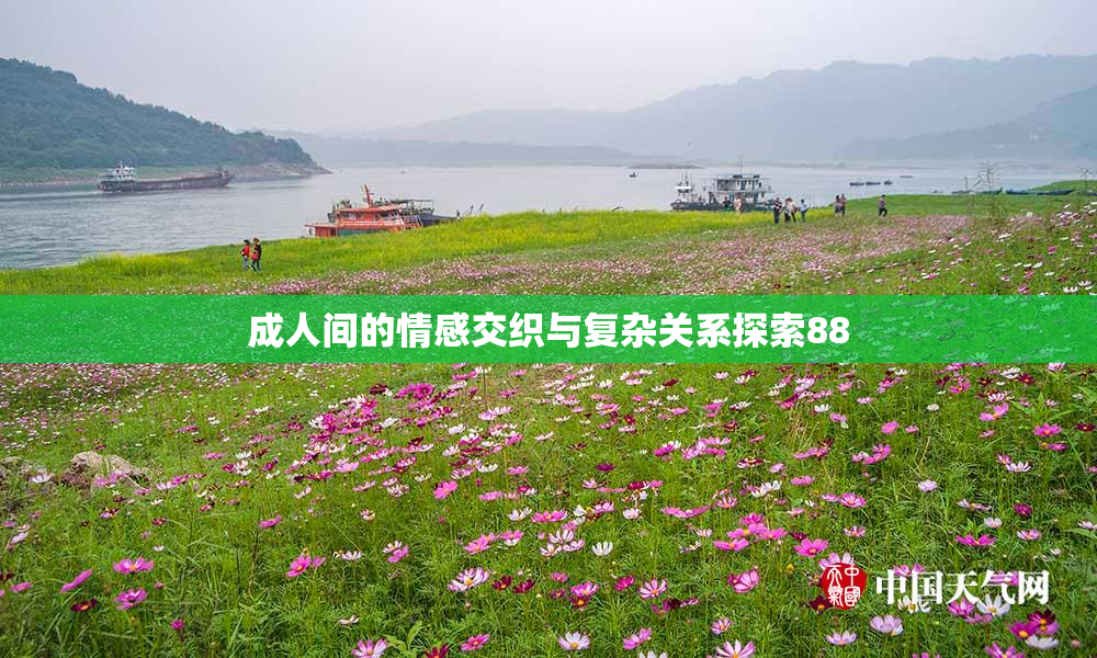 成人间的情感交织与复杂关系探索88