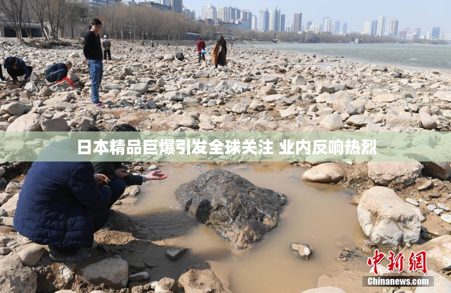 日本精品巨爆引发全球关注 业内反响热烈