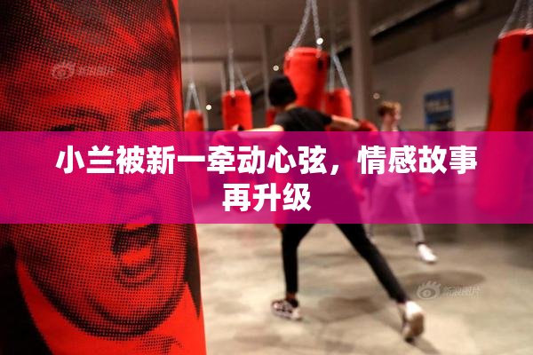 小兰被新一牵动心弦，情感故事再升级