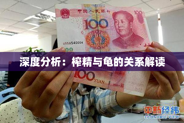深度分析：榨精与龟的关系解读