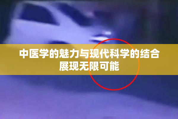 中医学的魅力与现代科学的结合展现无限可能