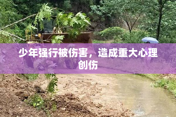 少年强行被伤害，造成重大心理创伤