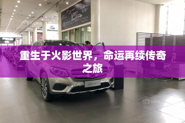 重生于火影世界，命运再续传奇之旅